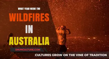 Australia's Devastating Wildfires: Uncovering the Year of the Blaze