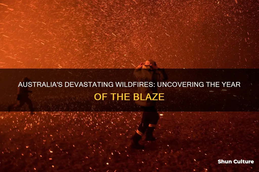 what year were the wildfires in australia
