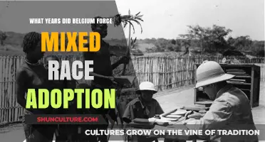 Belgium's Controversial Mixed-Race Adoption Policies: A Historical Overview