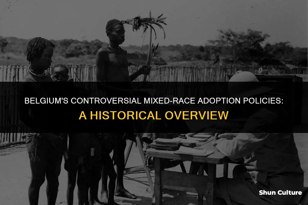 what years did belgium force mixed race adoption