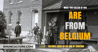 Belgian Roots: Unraveling the Unique Terms for Those from Belgium