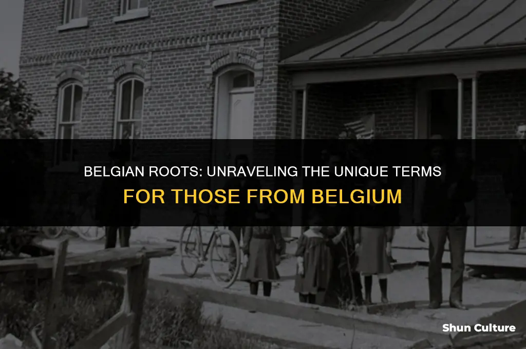 what you called if you are from belgium