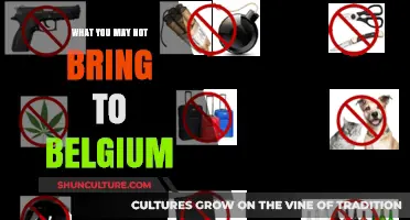 Forbidden Items: What Not to Pack for Your Belgium Trip