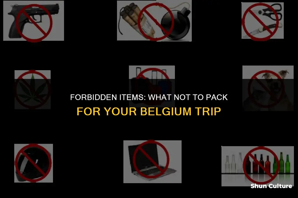 what you may not bring to belgium