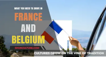 Essential Driving Requirements for France and Belgium: A Comprehensive Guide