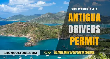 Essential Requirements for Obtaining an Antigua Driver's Permit