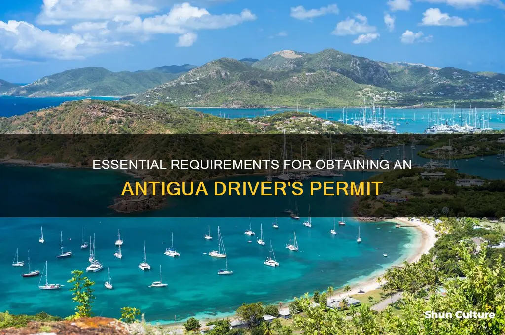 what you need to get a antigua drivers permit