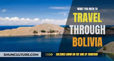 Exploring Bolivia: Essential Travel Guide and Tips