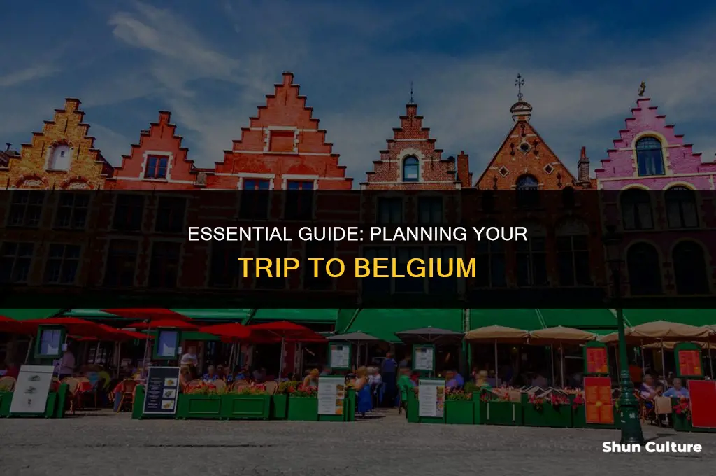 what you need to travel to belgium