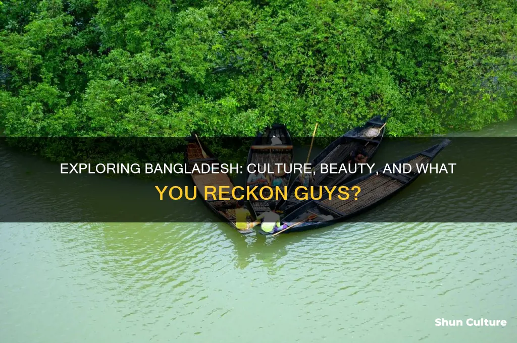 what you reckon guys bangladesh