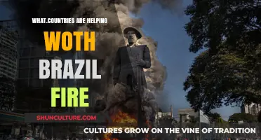 Global Aid Efforts: Which Countries Are Assisting Brazil's Fire Crisis?