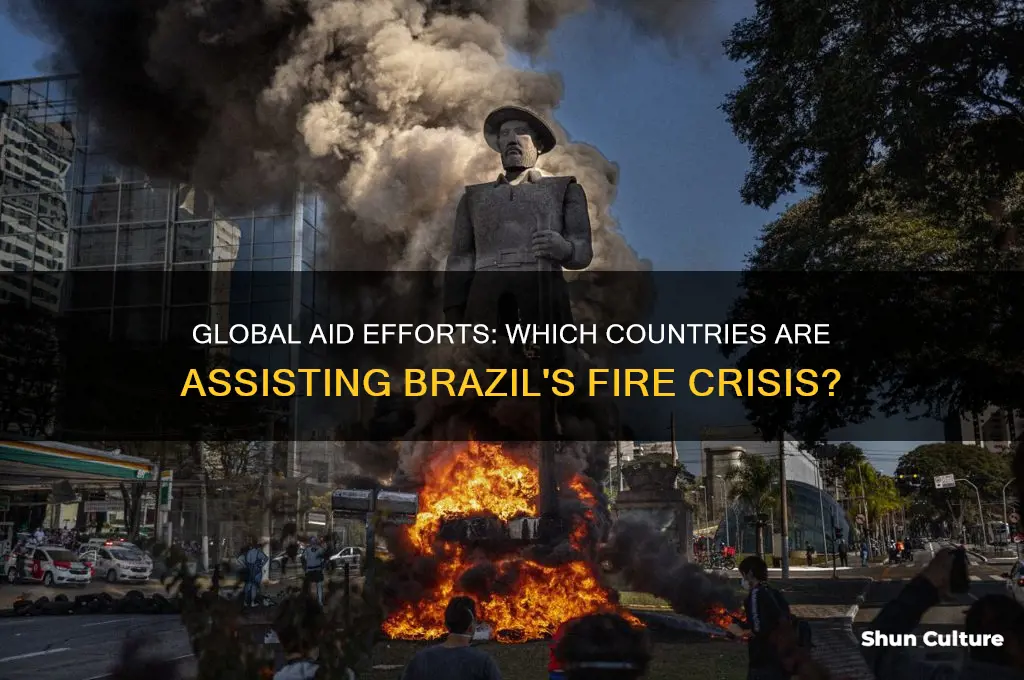 what.countries are helping woth brazil fire