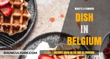 Delving into Belgian Cuisine: The Renowned Dish You Must Try