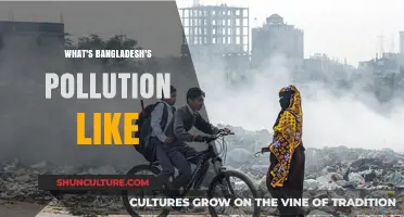 Bangladesh's Pollution Crisis: Air, Water, and Health Impacts Explored