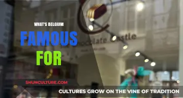 Discovering Belgium's Best: From Chocolate to Castles