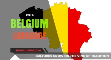 Exploring Belgium's Linguistic Landscape: A Guide to the Country's Languages