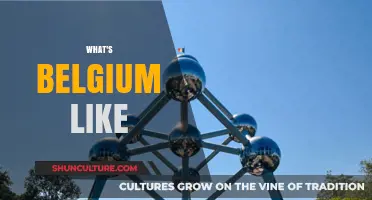 Exploring Belgium: A Journey Through Its Rich Culture and History