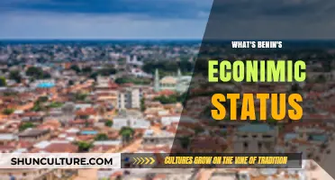 Exploring Benin's Economic Landscape: Challenges and Opportunities