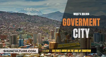 Exploring Bolivia's Government: The Administrative Capital Unveiled