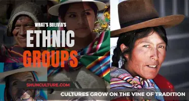 Exploring Bolivia's Rich Cultural Diversity: Ethnic Groups