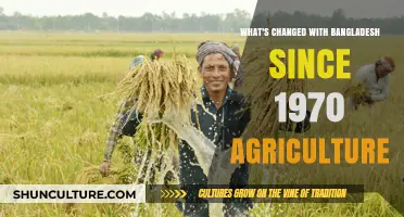Bangladesh's Agricultural Evolution: Transformations Since the 1970s