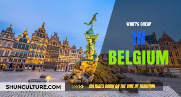 Discovering Budget-Friendly Delights in Belgium: A Local's Guide
