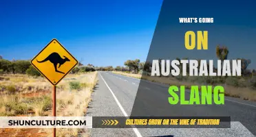 Unpacking the Unique World of Australian Slang: Meanings and Origins