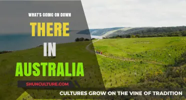 Exploring Australia's Unique Wildlife, Culture, and Natural Wonders Down Under