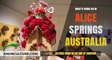 Alice Springs Unveiled: Exploring Current Events and Community Buzz in Australia