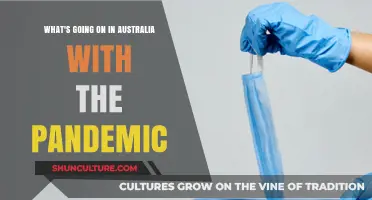 Australia's Pandemic Response: Current Challenges and Community Resilience