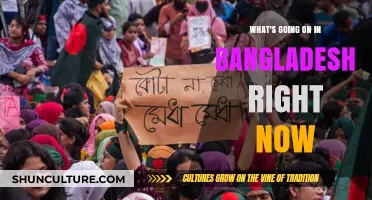 Bangladesh Today: Political Unrest, Economic Challenges, and Social Movements