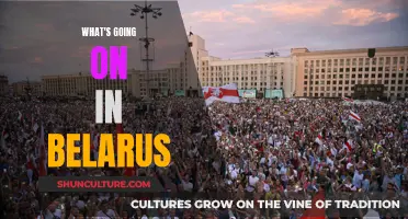 Belarus: Unraveling the Recent Turmoil and Political Landscape