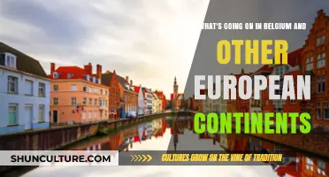 Exploring Belgium and Beyond: A Journey Through European Continents