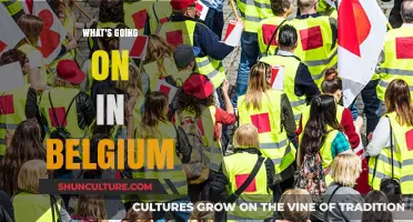 Exploring Belgium's Current Affairs: A Comprehensive Update