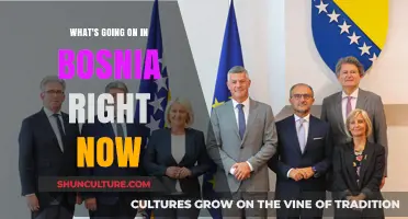 Bosnia Today: Political Tensions, Economic Struggles, and Social Unrest Explained