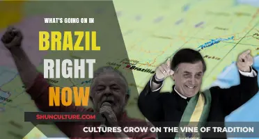 Brazil Today: Political Shifts, Economic Challenges, and Social Movements
