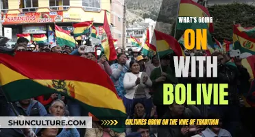 Bolivia's Turbulent Political Climate: Understanding the Unrest