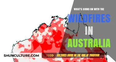Australia's Wildfires: Causes, Impacts, and the Road to Recovery