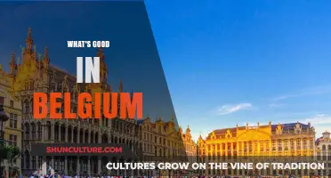 Discovering Belgium's Best: A Guide to Its Top Attractions