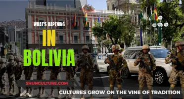 Bolivia's Turbulent Times: Unrest and Political Chaos