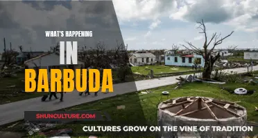 The Barbuda Evolution: Past, Present, and Future