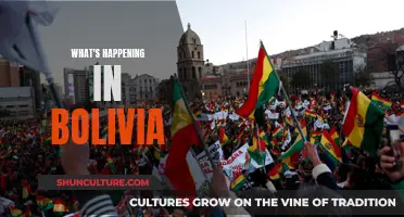 Bolivia's Turbulent Times: Unrest and Political Chaos