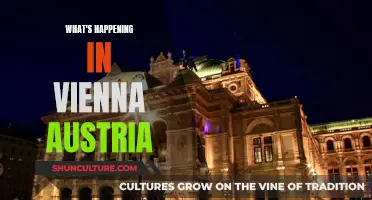 Vienna's Vibrant Summer: Festivals, Events, and More!