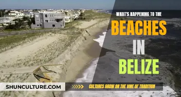 Belize's Beaches: Troubled Paradise