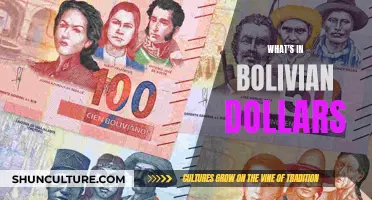 Exploring the Intricacies of Bolivian Dollars