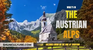 Exploring Austria's Alpine Wonders: Nature, Adventure, and More