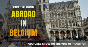 Discovering New Horizons: My Study Abroad Journey in Belgium