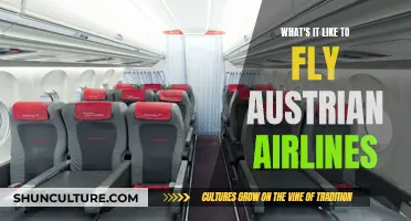 A Journey with Austrian Airlines: Comfort, Cuisine, and More