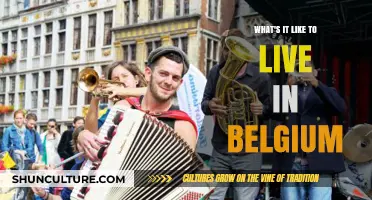 Discovering the Charms and Quirks of Life in Belgium
