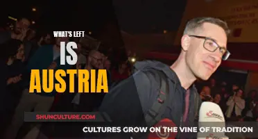 Austria's Leftist Future: What's Next?